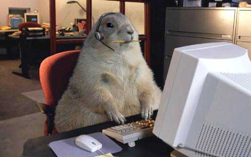 computeranimal.jpg